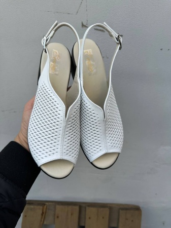 photo_2024-04-20_21-38-31